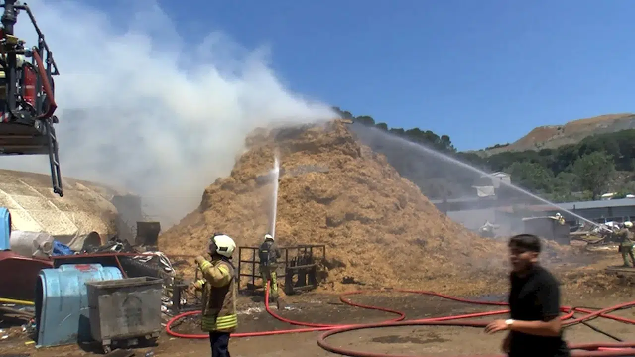 İstanbul- Eyüpsultan'da kurban kesim alanındaki samanlar yandı