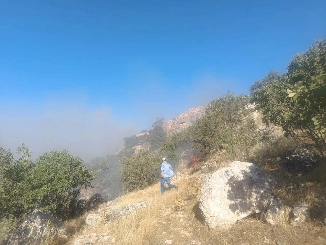 Mardin'deki örtü yangını 7 saatte söndürüldü