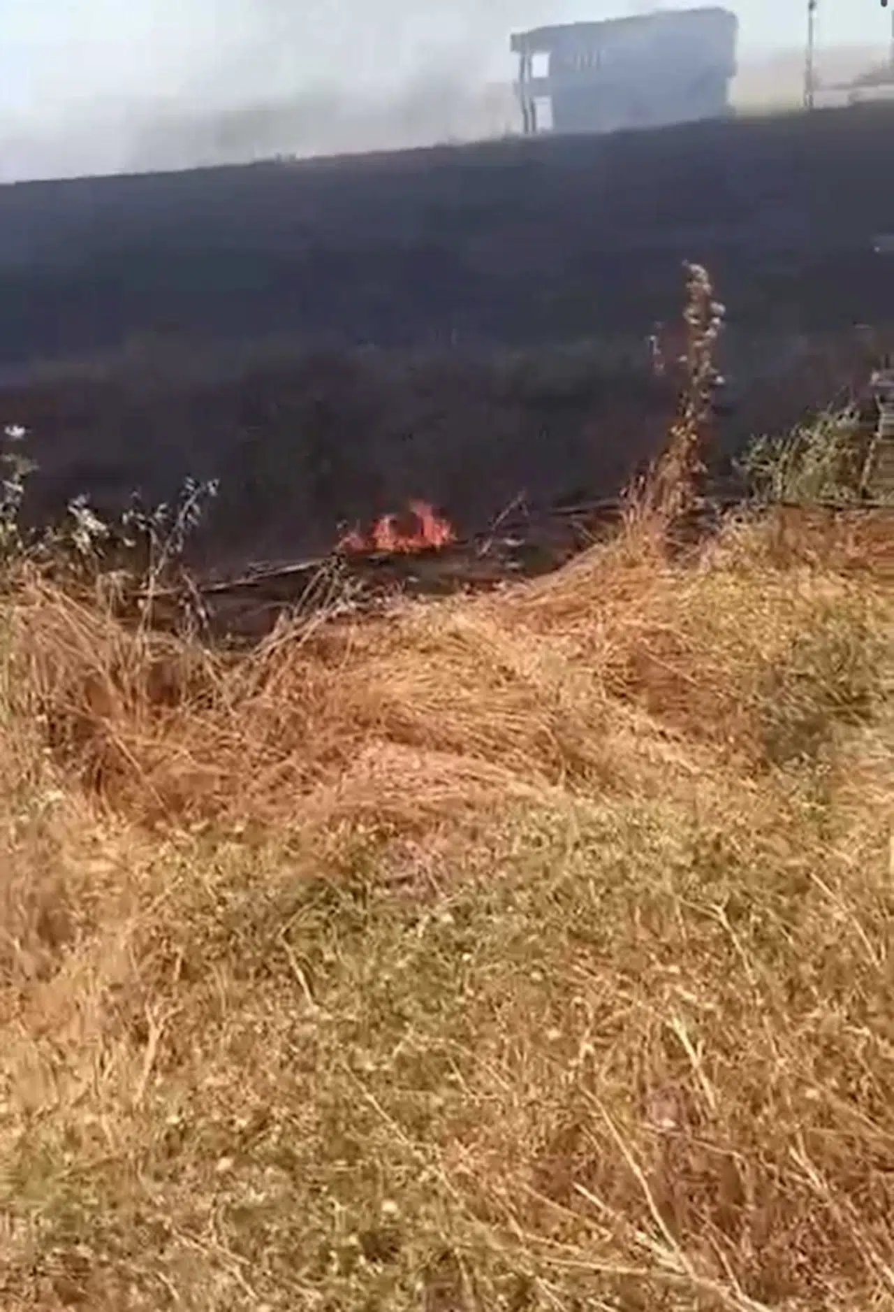 Batman'da 18 dönüm ekili buğday yandı