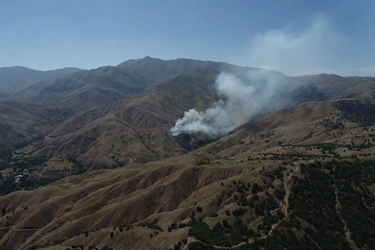 Bingöl'de çıkan örtü yangını söndürüldü