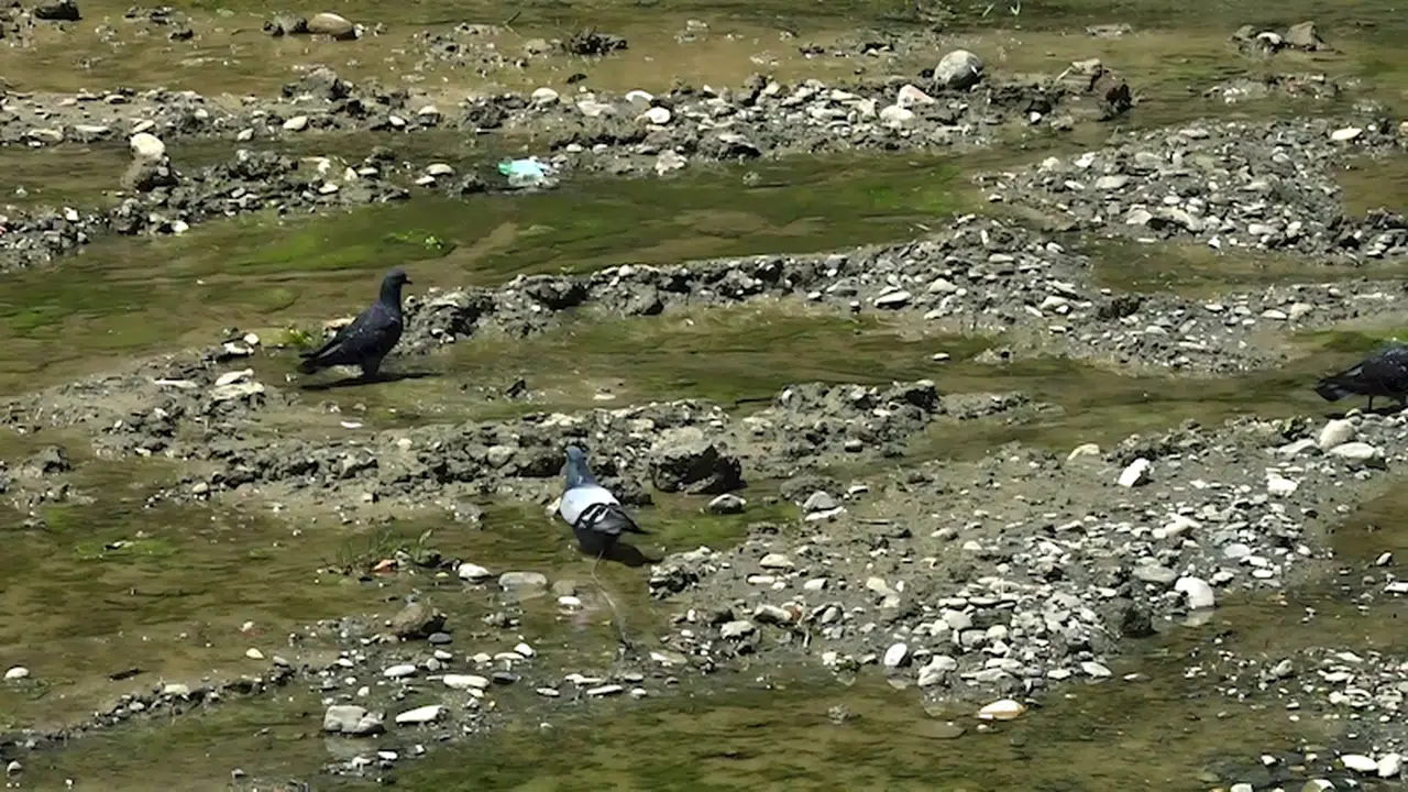 Prof. Dr. Demir: Kuraklık riskimiz hala devam ediyor