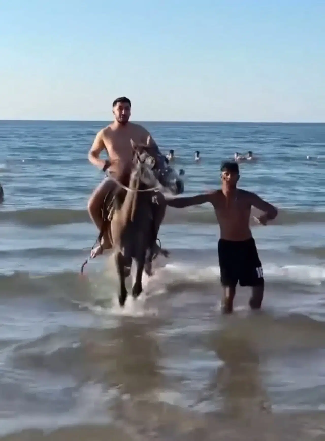 İstanbul- Şile'de plaja getirilen atlar insanların arasına daldı 