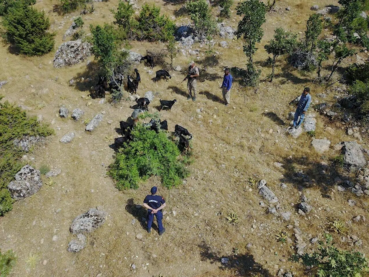 Adıyaman'da kaybolan sürü dronla bulundu