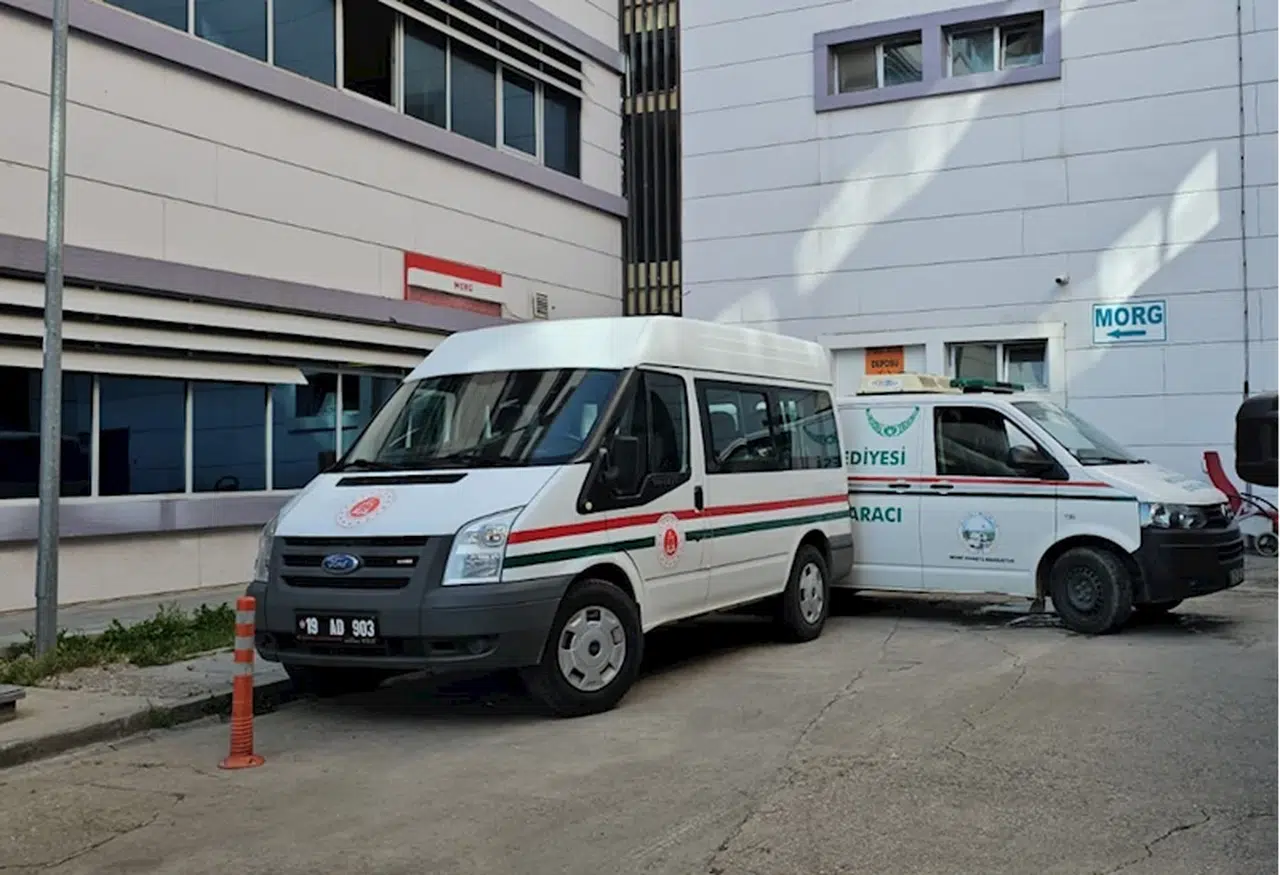 Çorum'da arıların soktuğu kadın yaşamını yitirdi