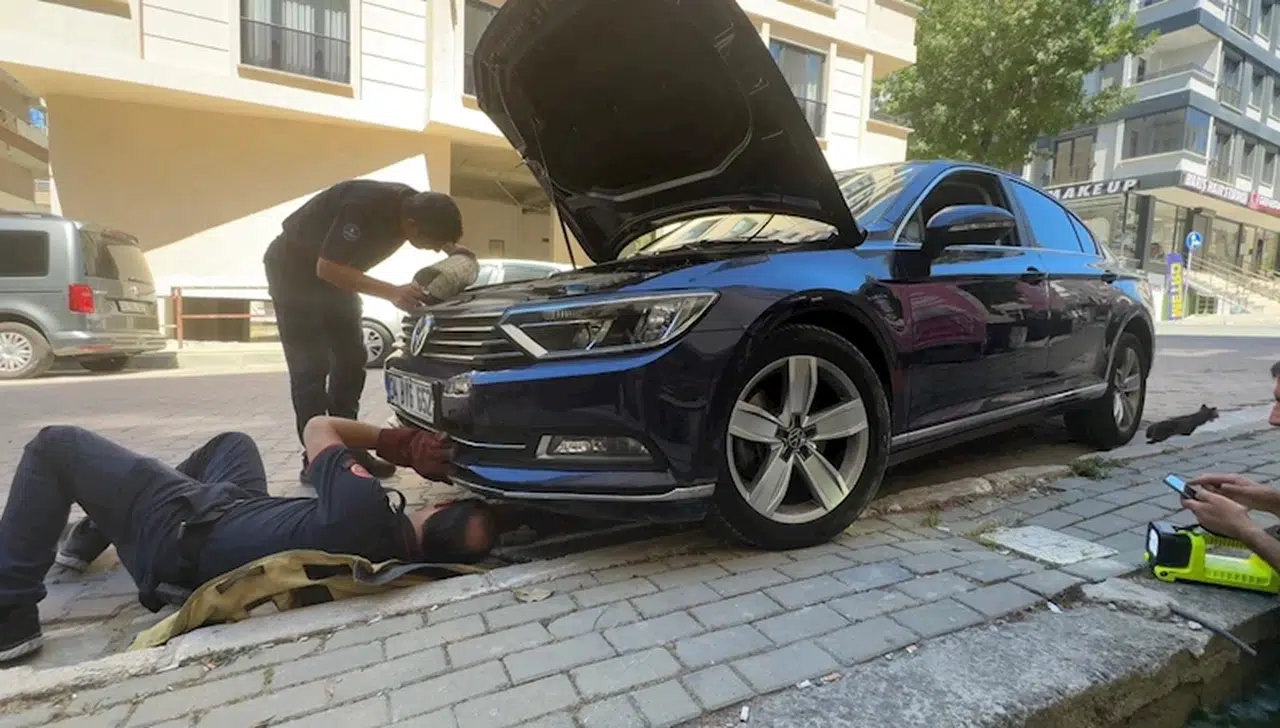 İstanbul- Avcılar'da otomobilin motoruna sıkışan kediyi itfaiye kurtardı