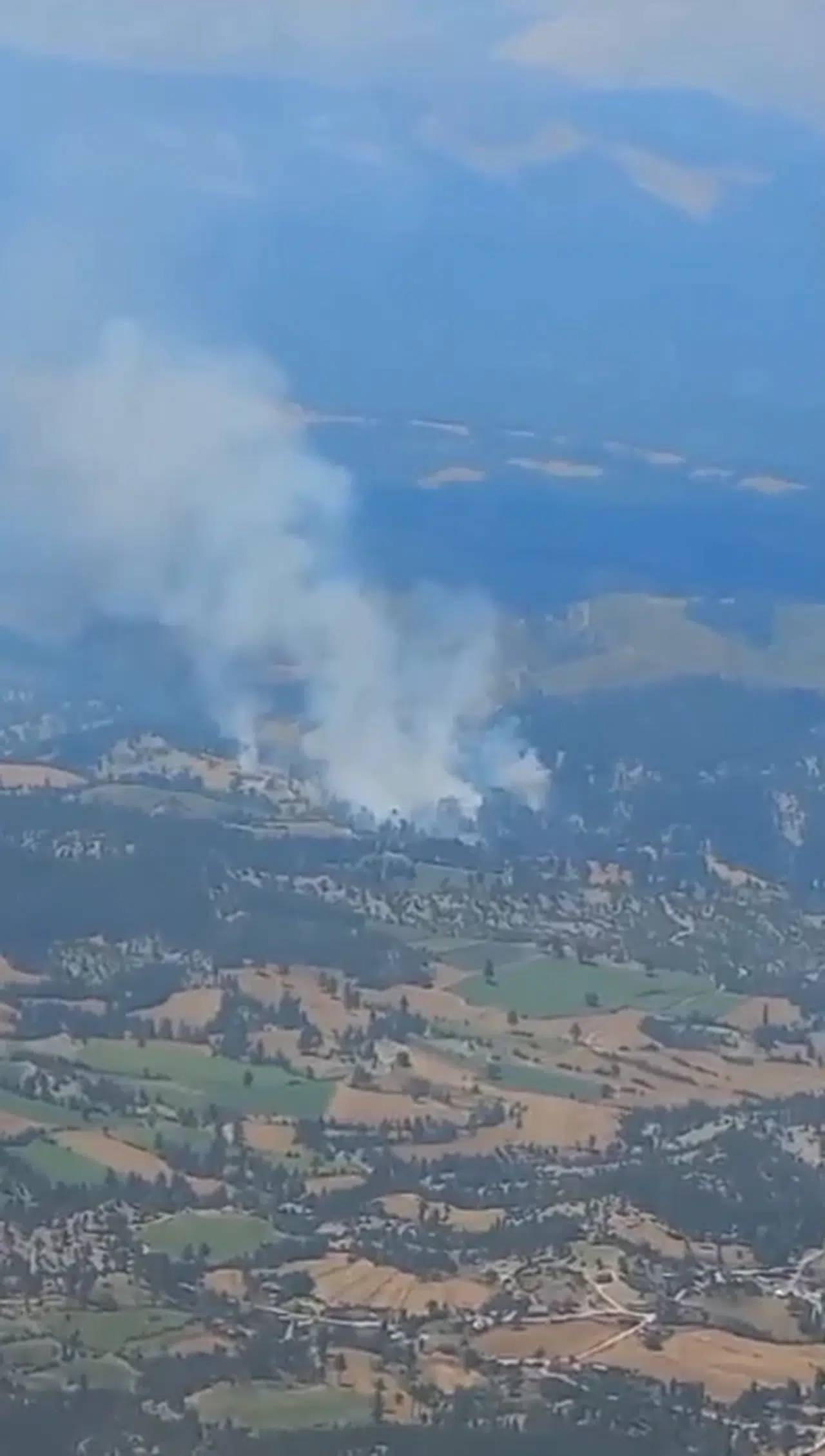 Adana'da anız yakımı sonrası alevler ormana sıçradı