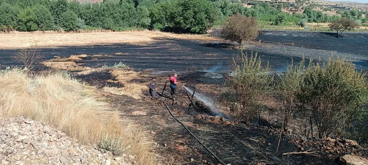 Mardin'de ekili 100 dönüm arpa ve buğday yandı