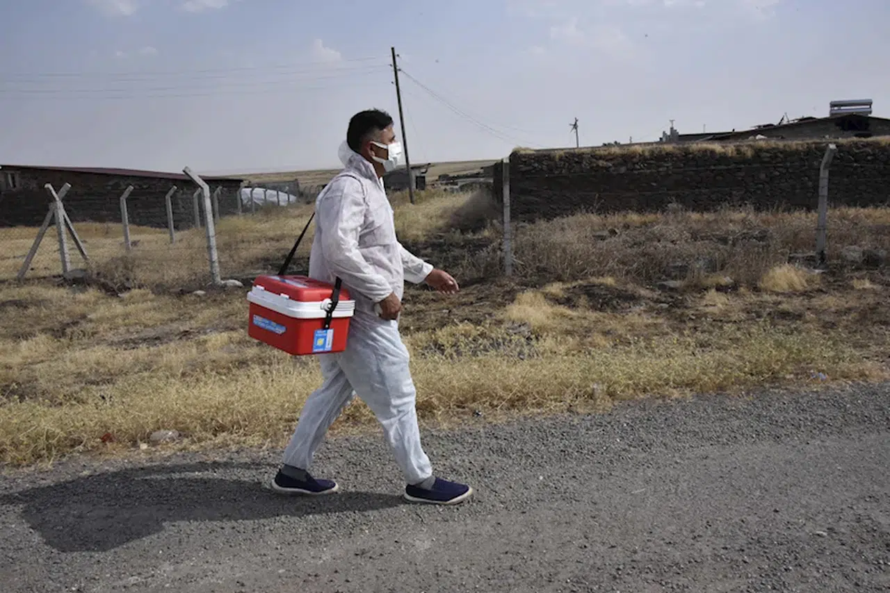 Şanlıurfa'da mahalleye kuduz karantinası