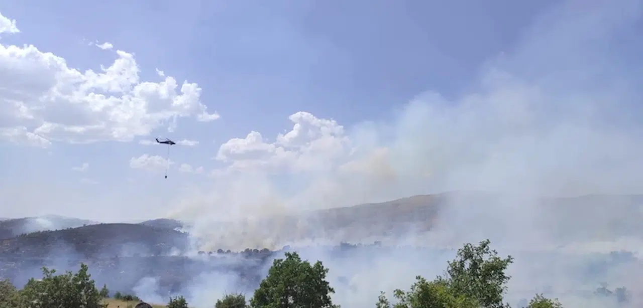 Elazığ'da orman yangını (3)