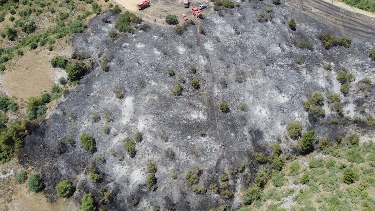 Bilecik'te orman yangını, erken müdahaleyle söndürüldü