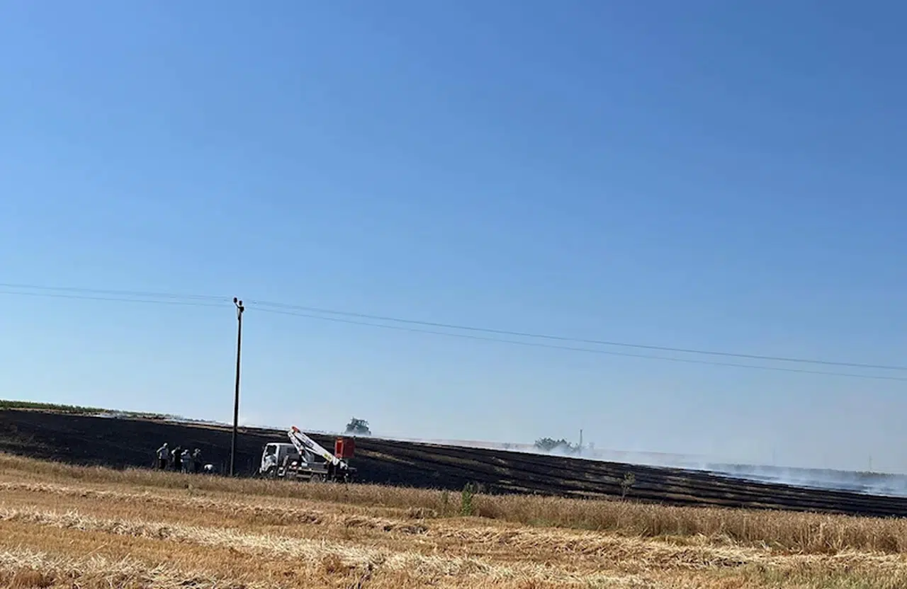  Kuşun neden olduğu yangında 14 dekar tarım alanı zarar gördü