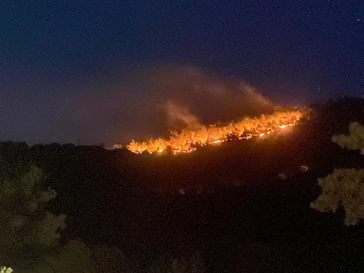 Ayvacık'ta orman yangını (2)