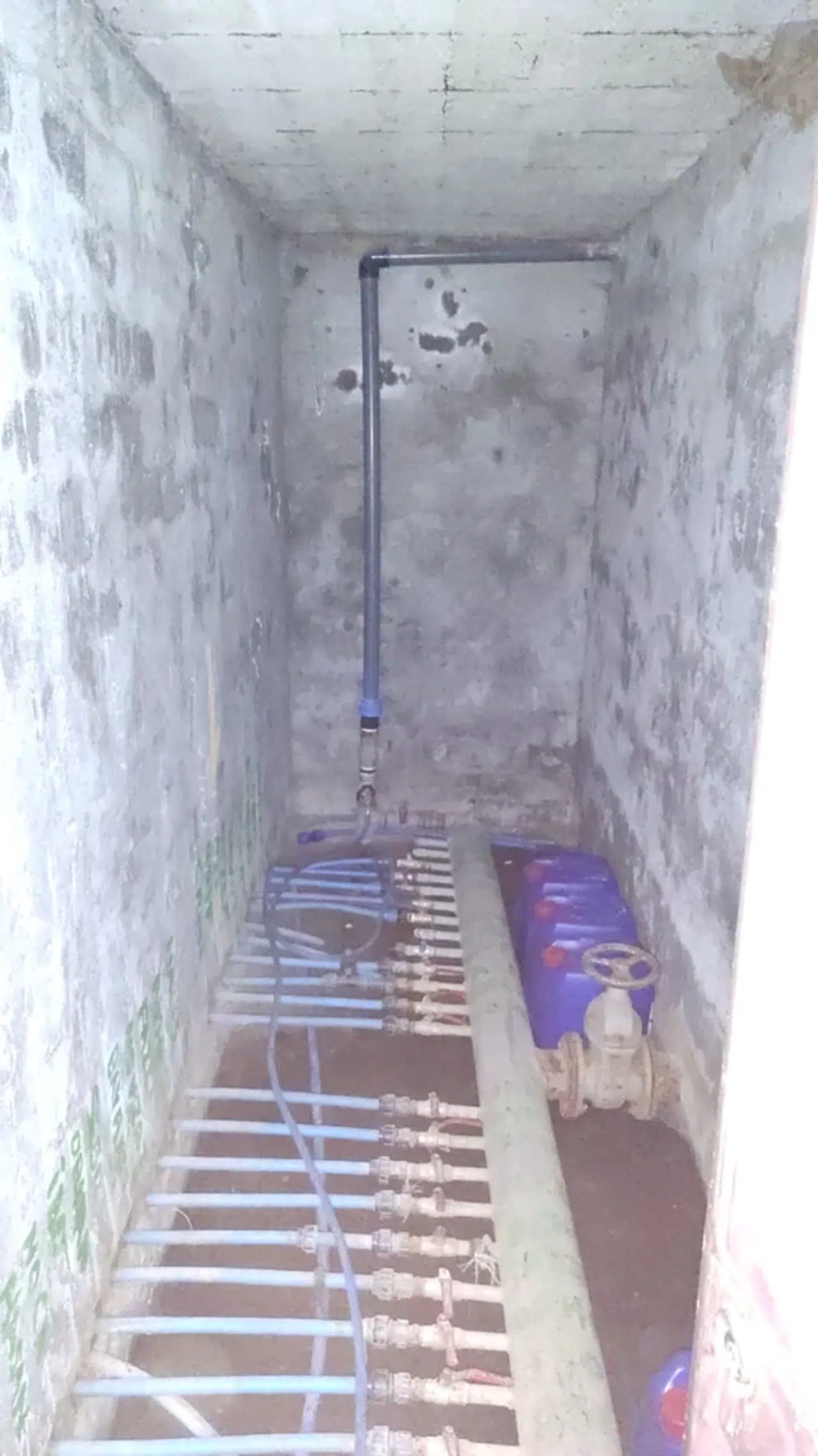 Bolu'da su deposunu temizlerken egzoz gazından etkilenen 3 kişi tedavi edildi