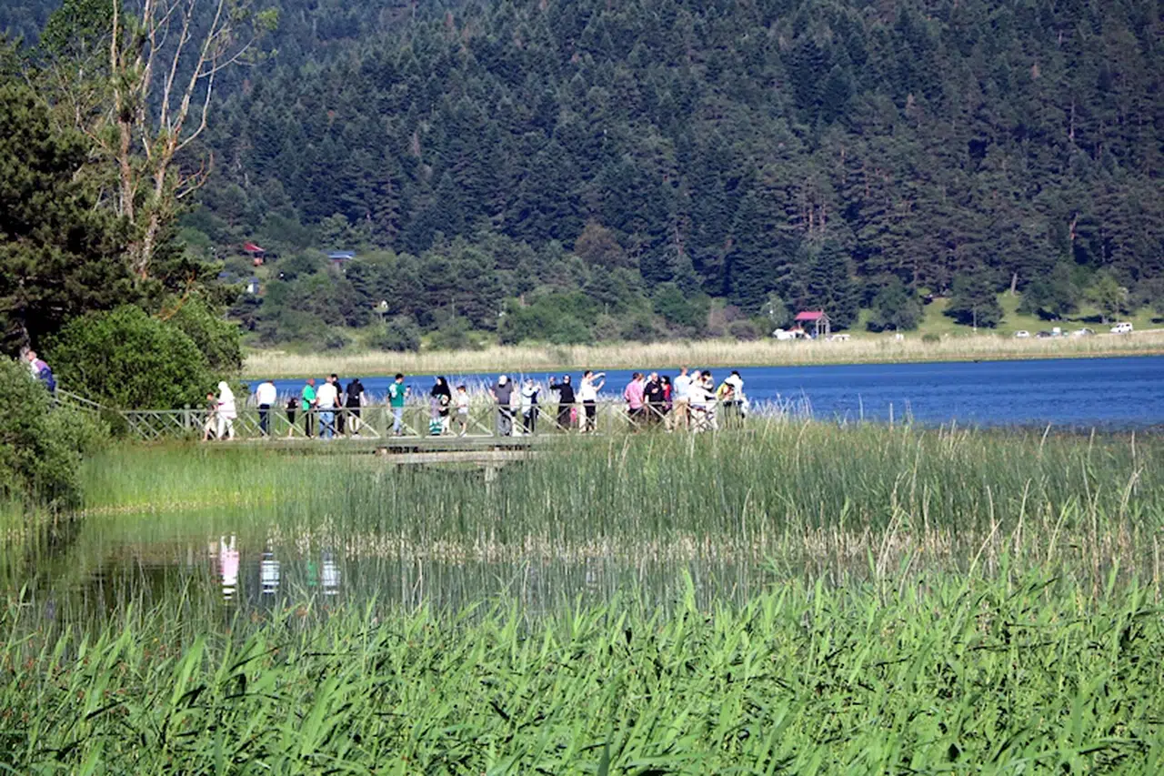 Abant'ta tatilci yoğunluğu