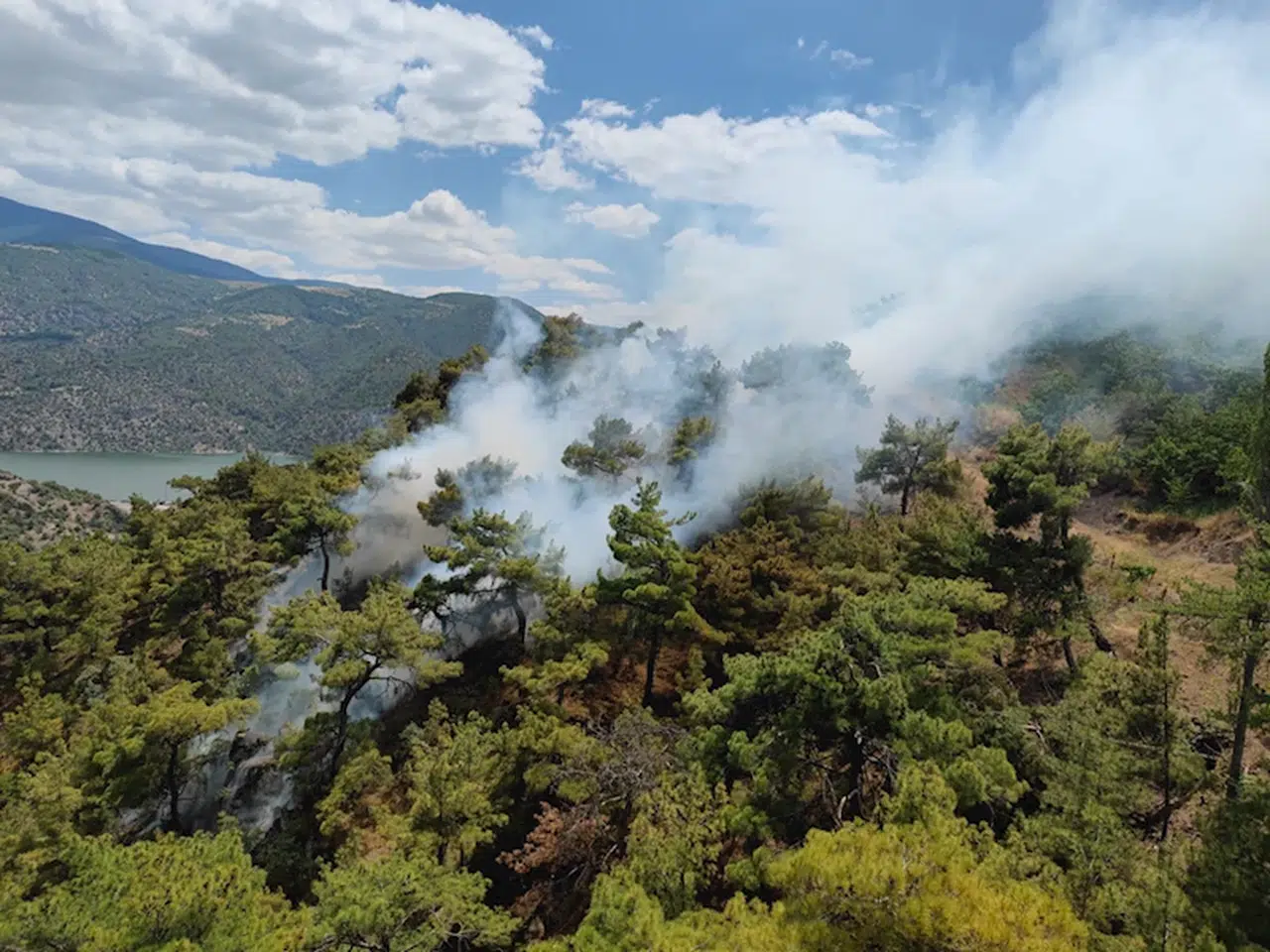 Çorum'da çıkan yangında 5 dekar ormanlık alan zarar gördü