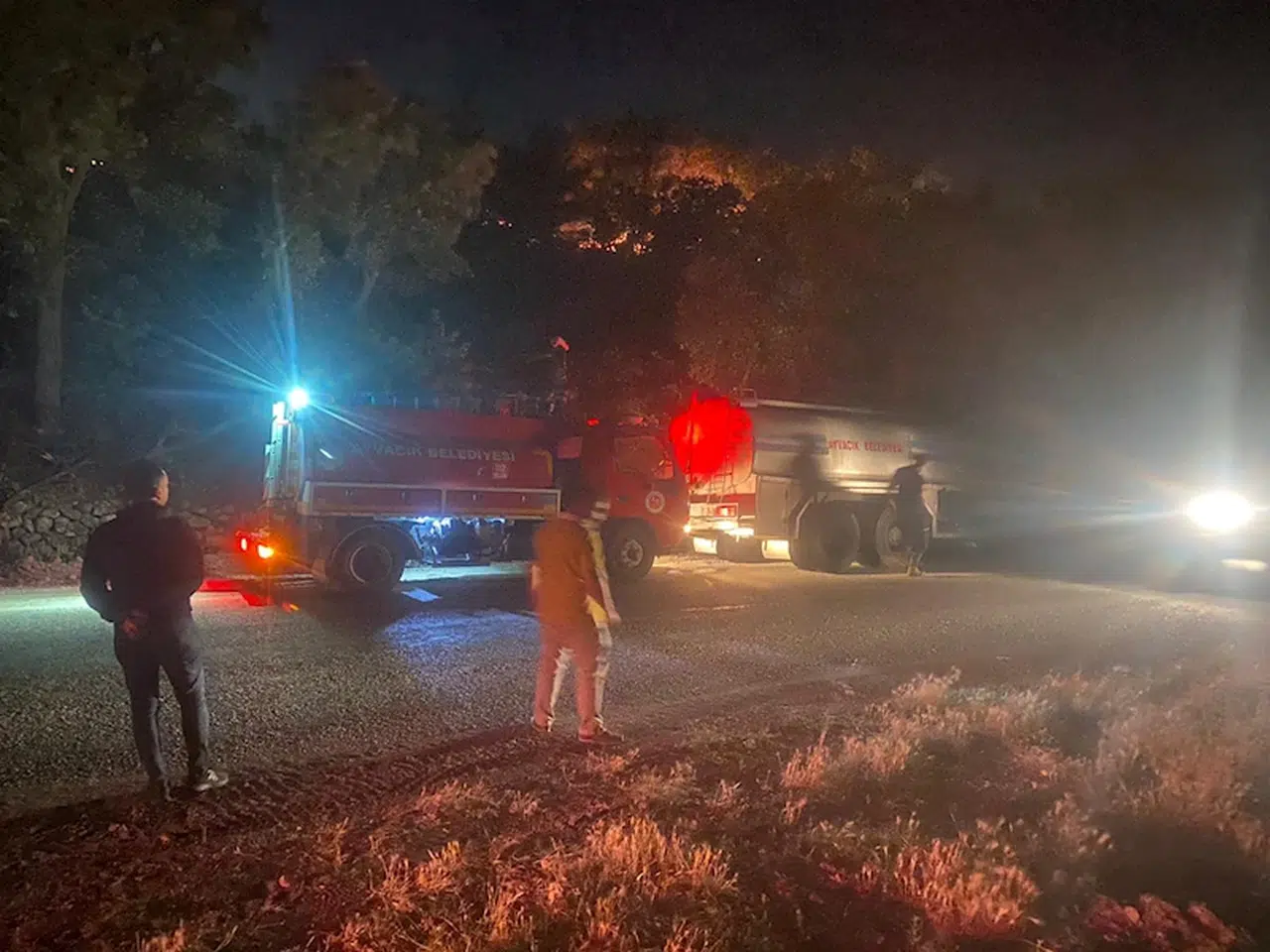 Ayvacık'ta orman yangını