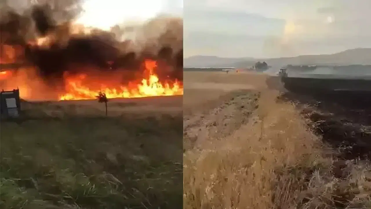 Malatya'da 10 dönüm ekili buğday yandı