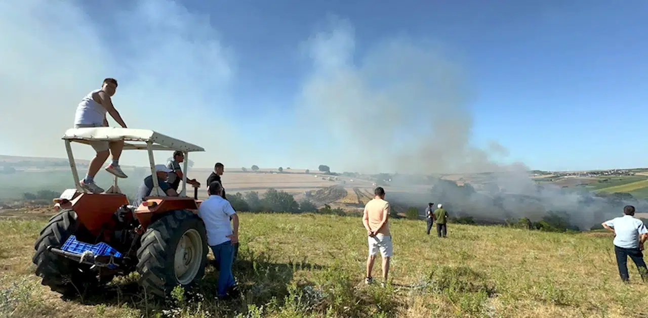  Tekirdağ'da yangında 200 dekar tarım alanı zarar gördü
