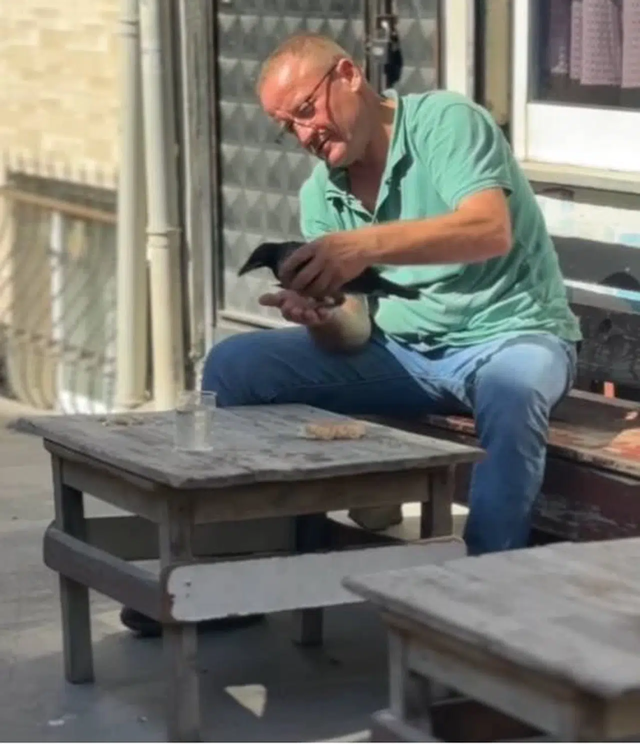 İstanbul - Esenyurt'ta sıcaktan bunalan kargaya su verip elleriyle besledi