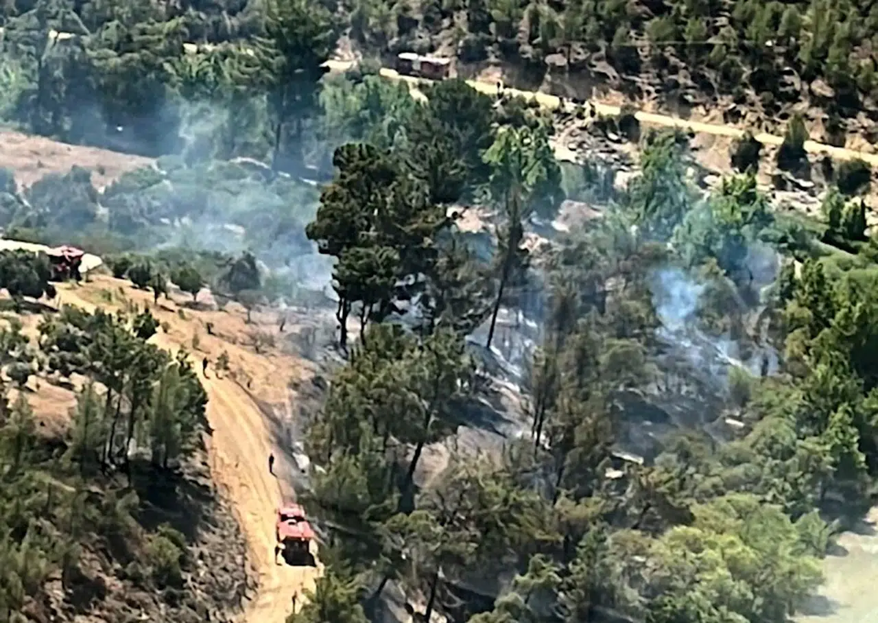 Mersin'de çıkan orman yangını kontrol altına alındı