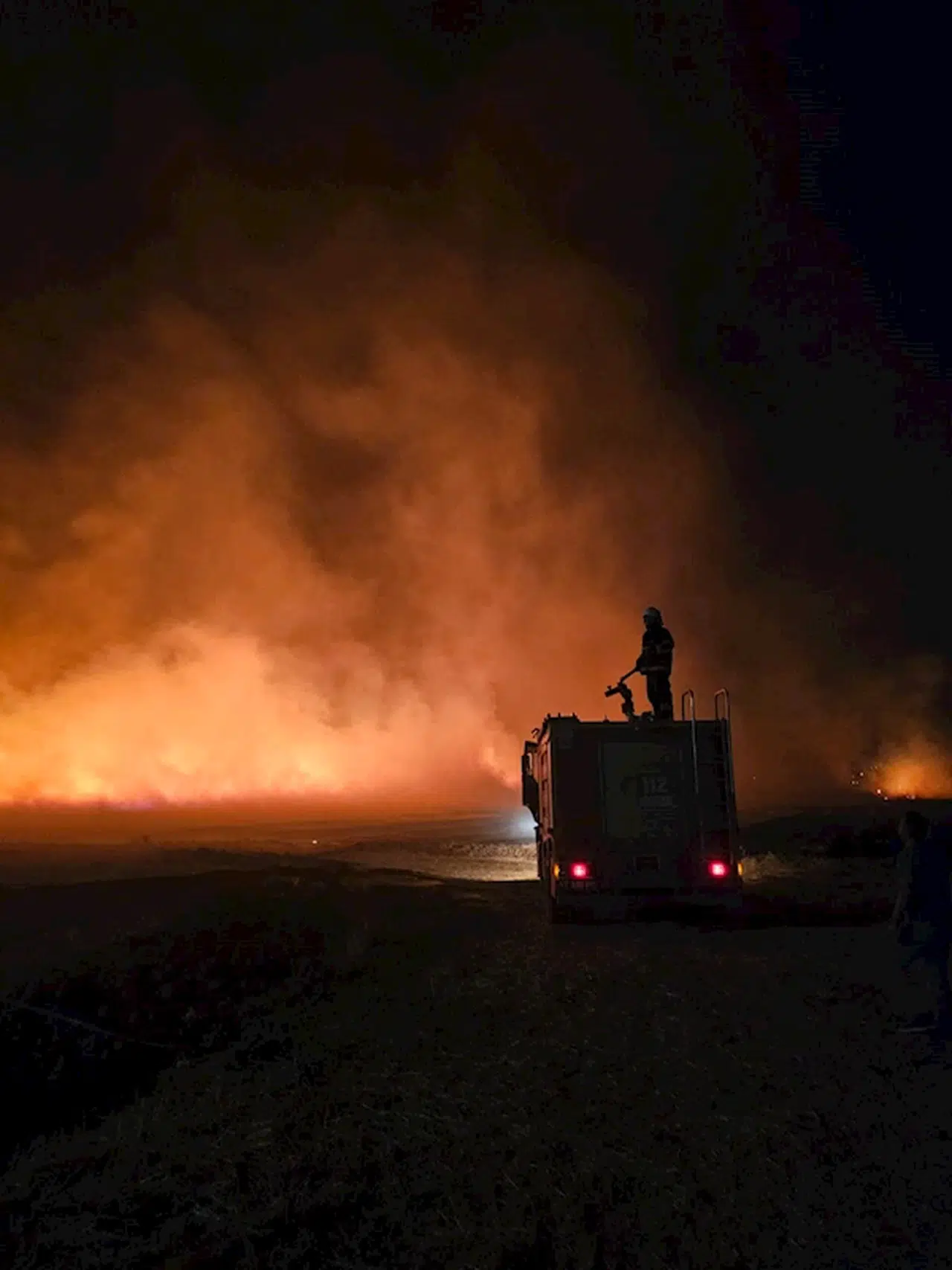 Mardin'de 5 noktada anız yangını