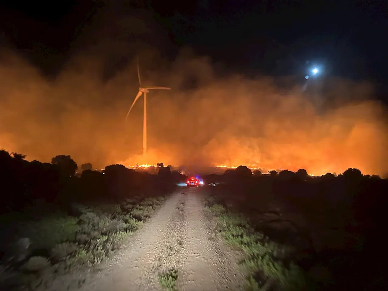 Çeşme'de makilik alanda yangın(2)