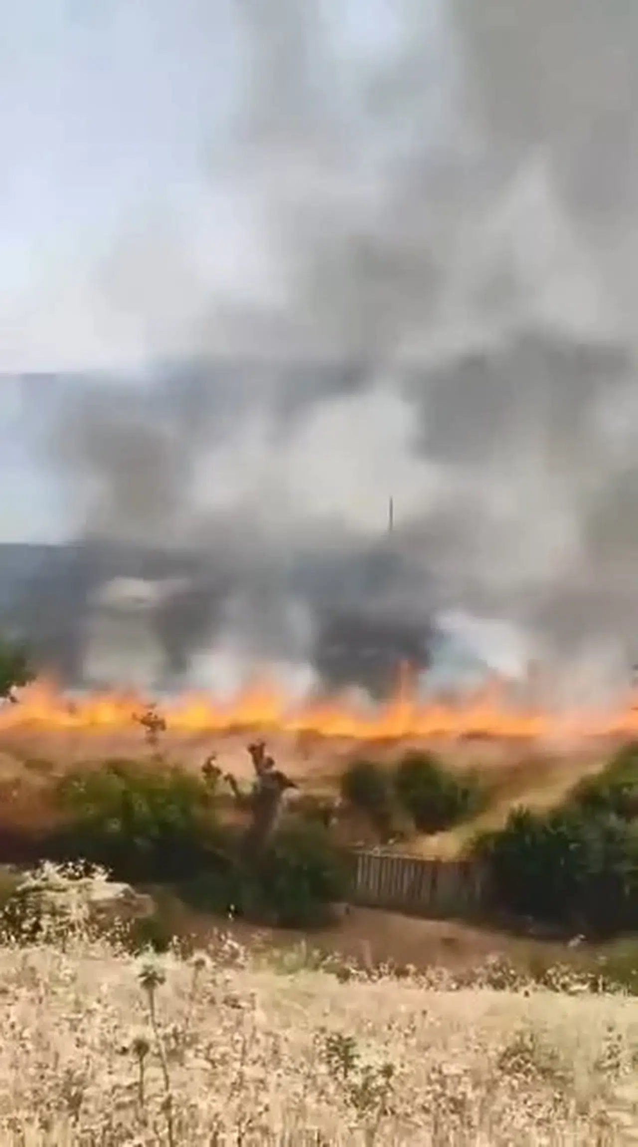 Diyarbakır'da bahçe yangını çıktı, fırtınada da 4 evin çatısı uçtu