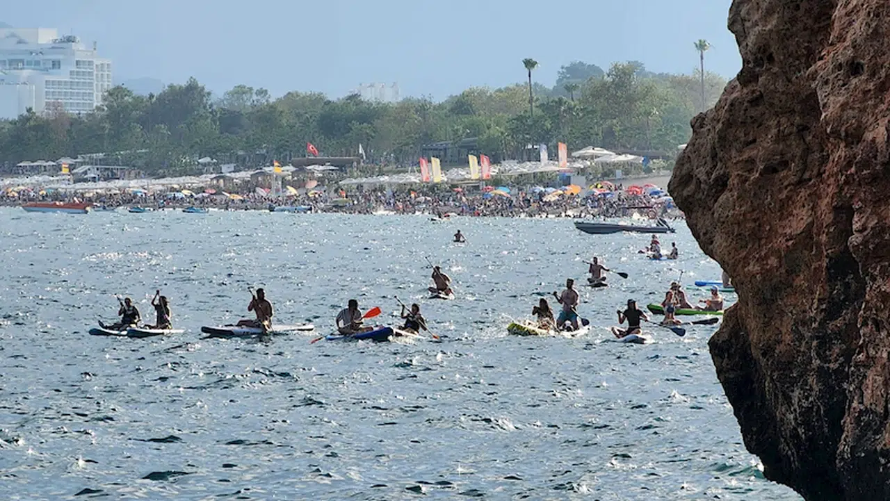 Akdeniz foklarına 'kürek sörfü' tehdidi