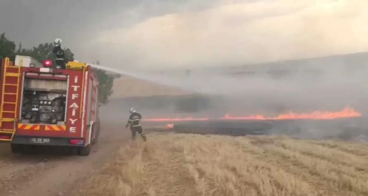 Batman ve Mardin'de çıkan yangında 60 dönüm anız ve meyve ağaçları yandı