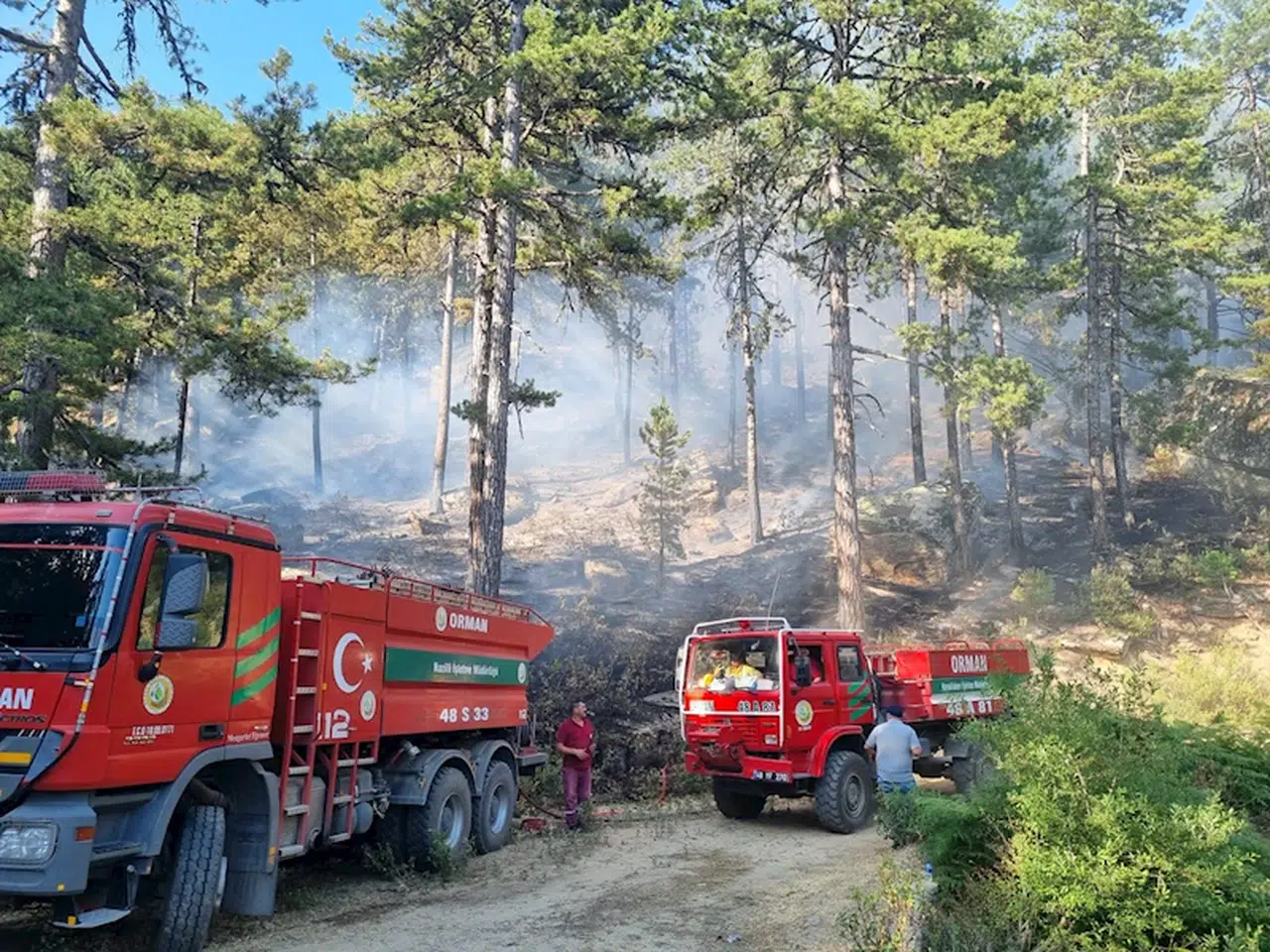 Aydın'da çıkan orman yangını 5 saatte söndürüldü