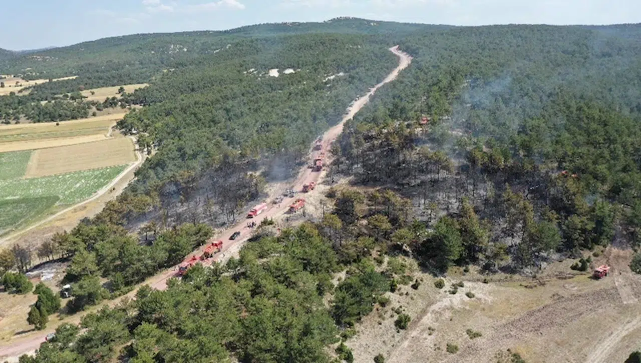Kütahya'daki orman yangını, erken müdahaleyle büyümeden kontrol altına alındı