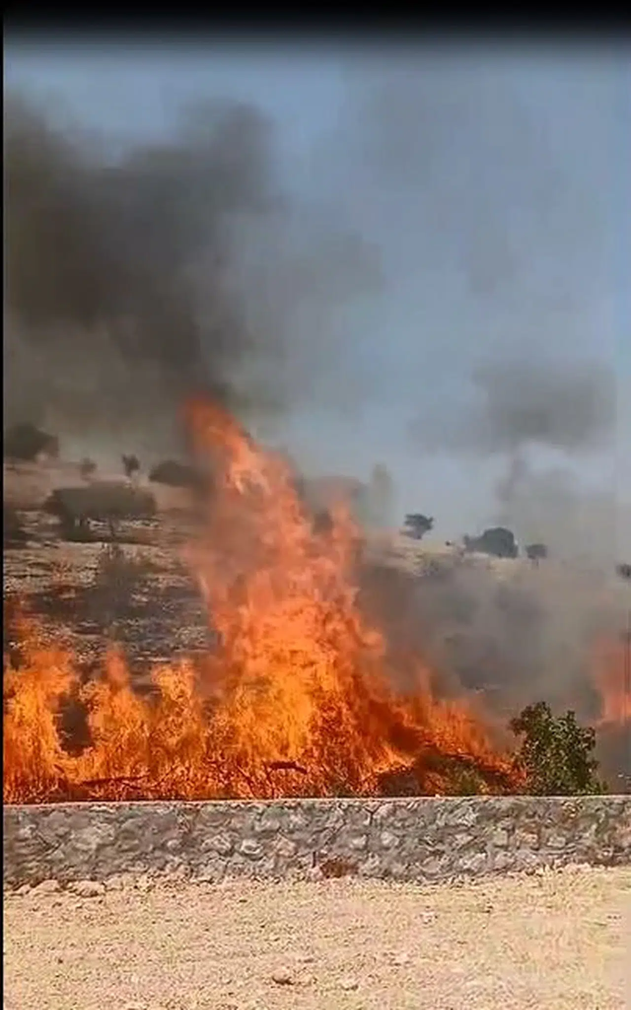 Mardin'de anız ve örtü yangını; tonlarca saman balyası yandı, ağaçlar zarar gördü