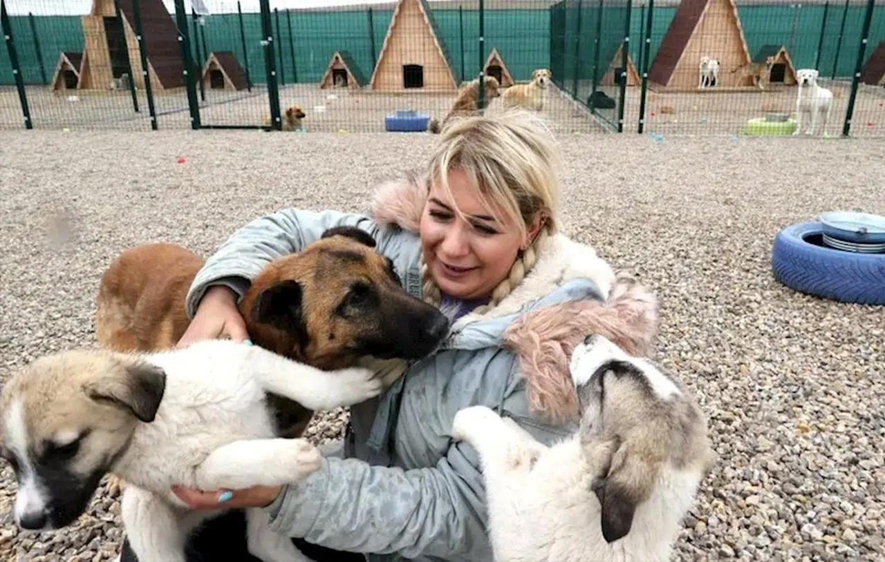 Hasta köpeklerin Ankara'ya taşınması davasında tahliye / Fotoğraf