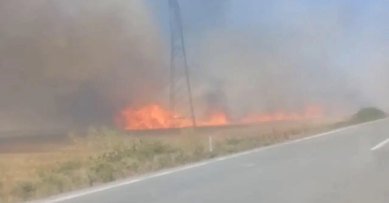 TEKİRDAĞ'da 180 dönüm ekili buğday yandı; 3 kişi dumandan etkilendi (VİDEO EKLENDİ)