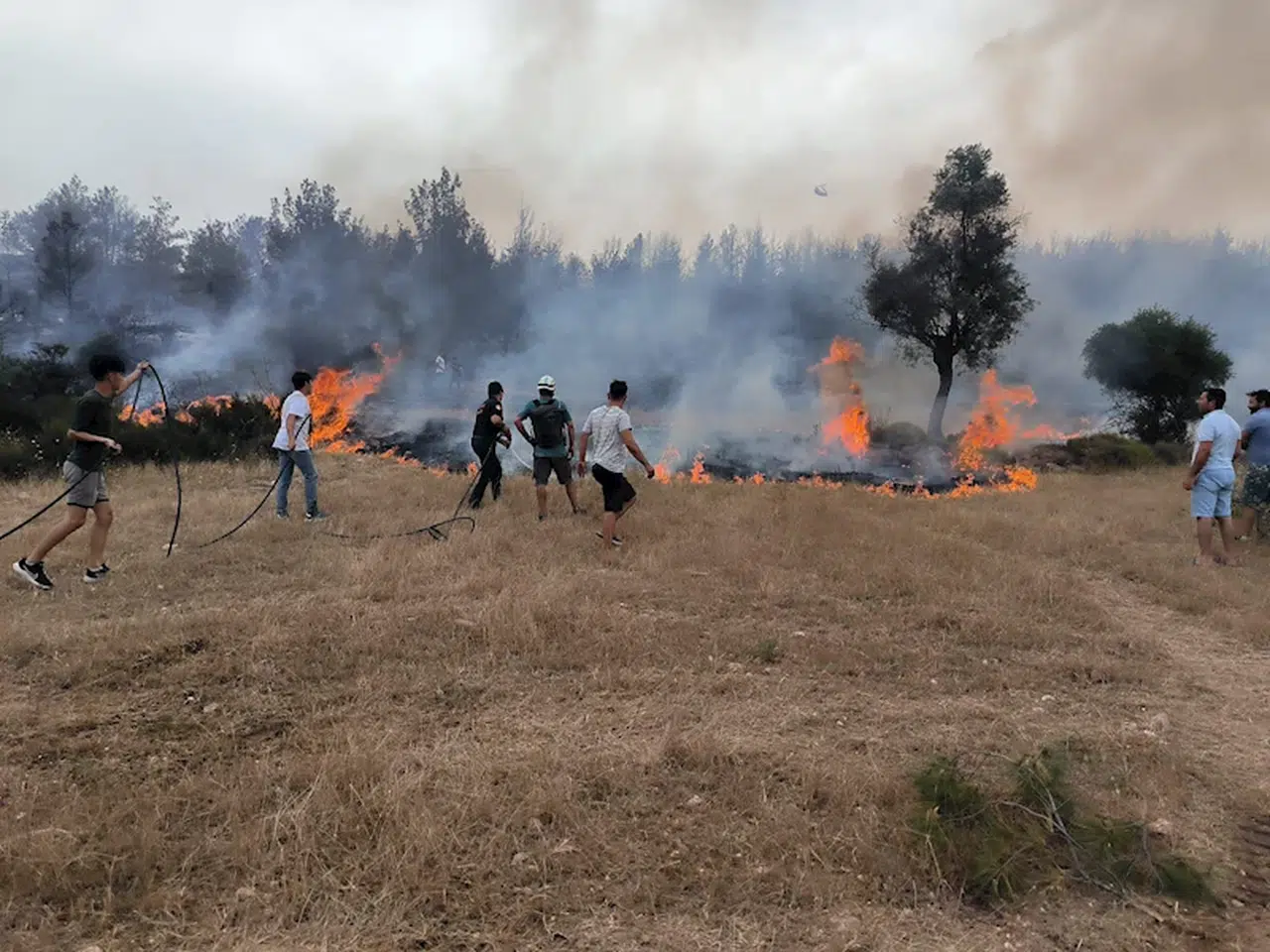 Muğla'da anız yangınlarına karşı uyarı