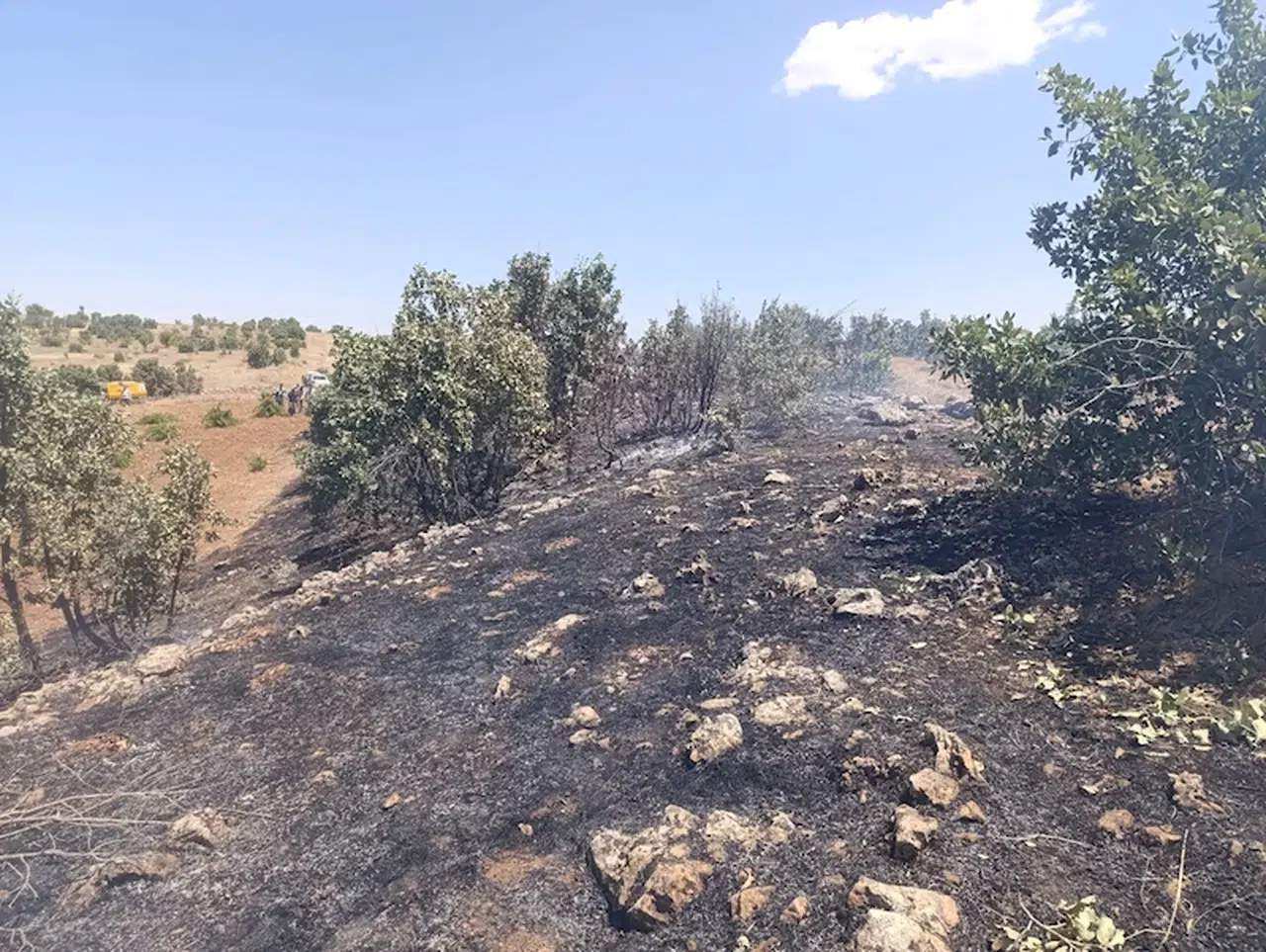Mardin'de örtü yangını