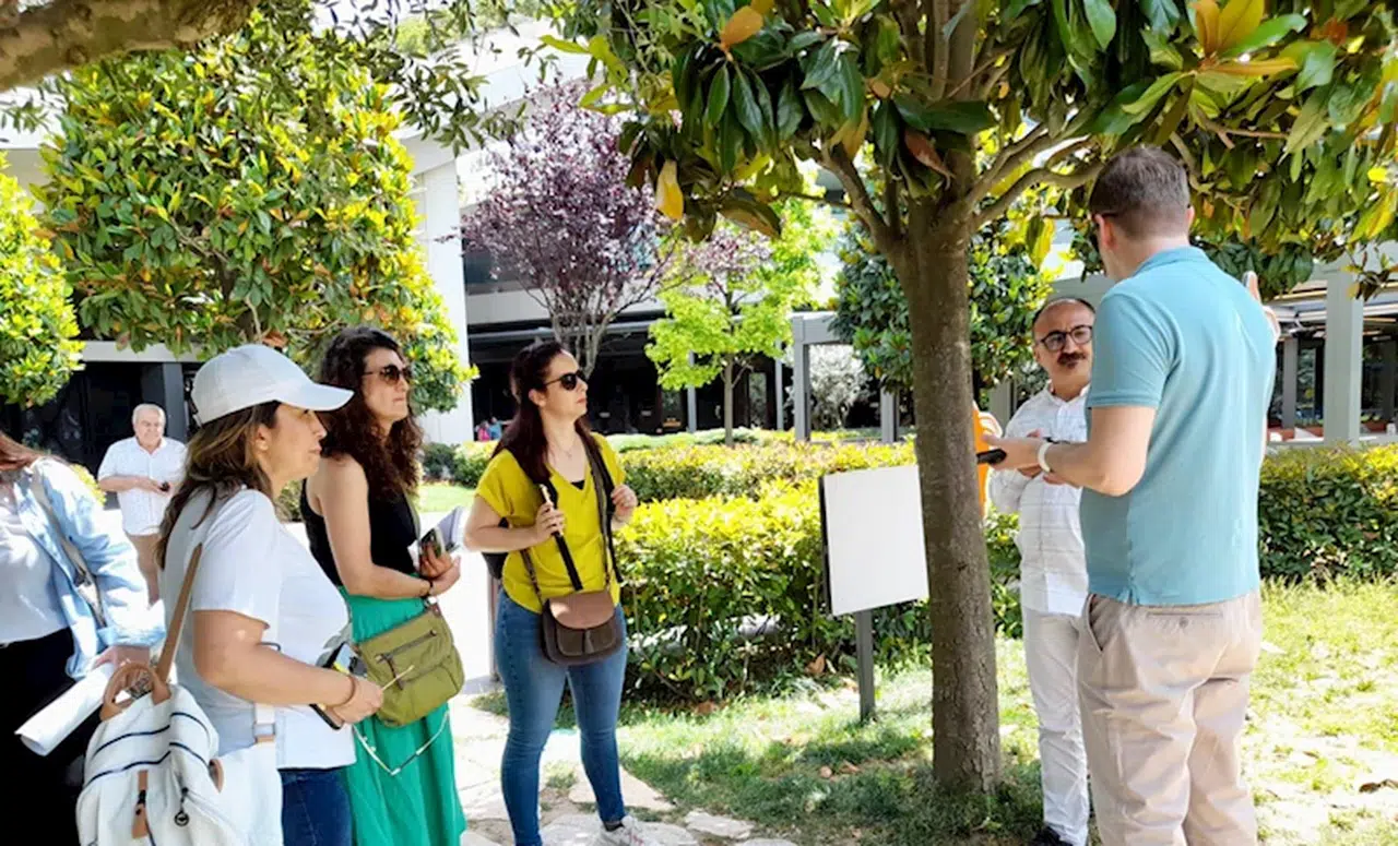 Bartın'dan kısa kısa