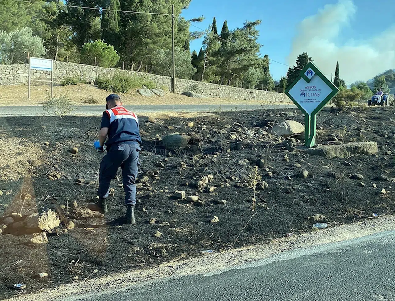 Çanakkale'de makilikte çıkan yangın, antik kente sıçradı (2)