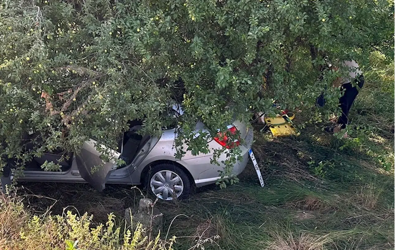 Samsun'da tarlaya devrilen otomobildeki 3 kişi yaralandı