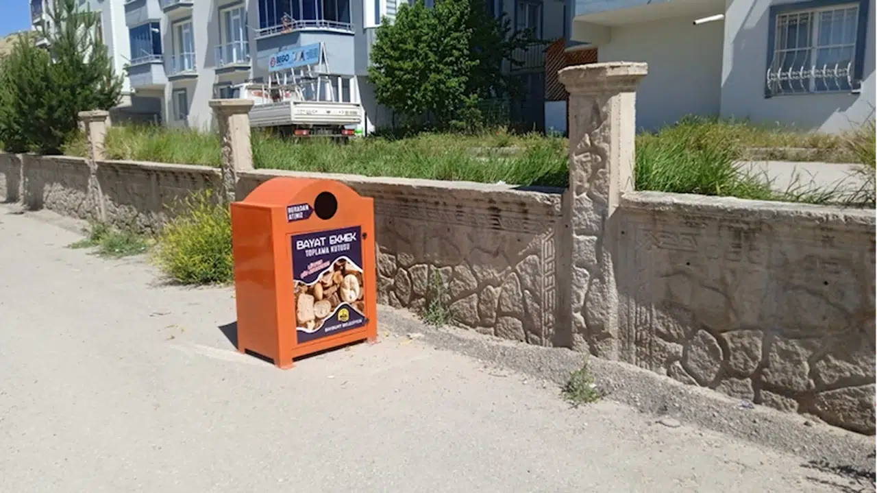 Bayburt'ta bayat ekmekler barınaktaki hayvanlar için toplanıyor