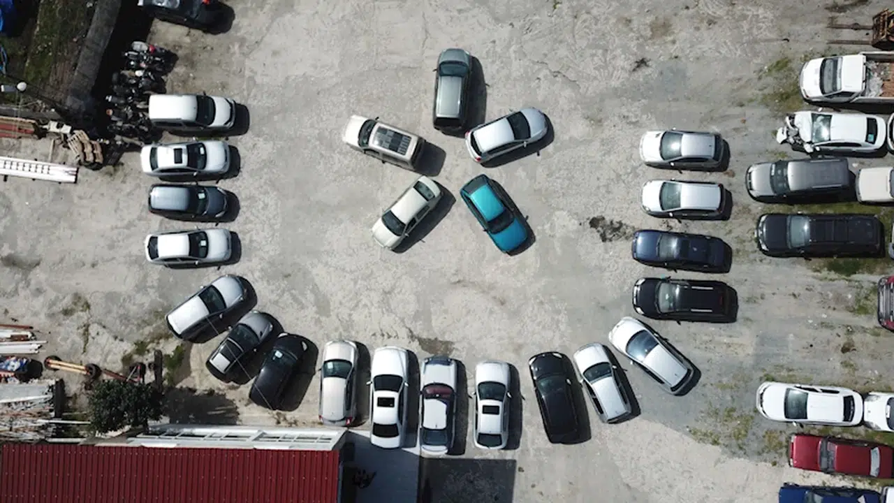 Samsun merkezli 3 ilde 'change' operasyonu: 30 gözaltı