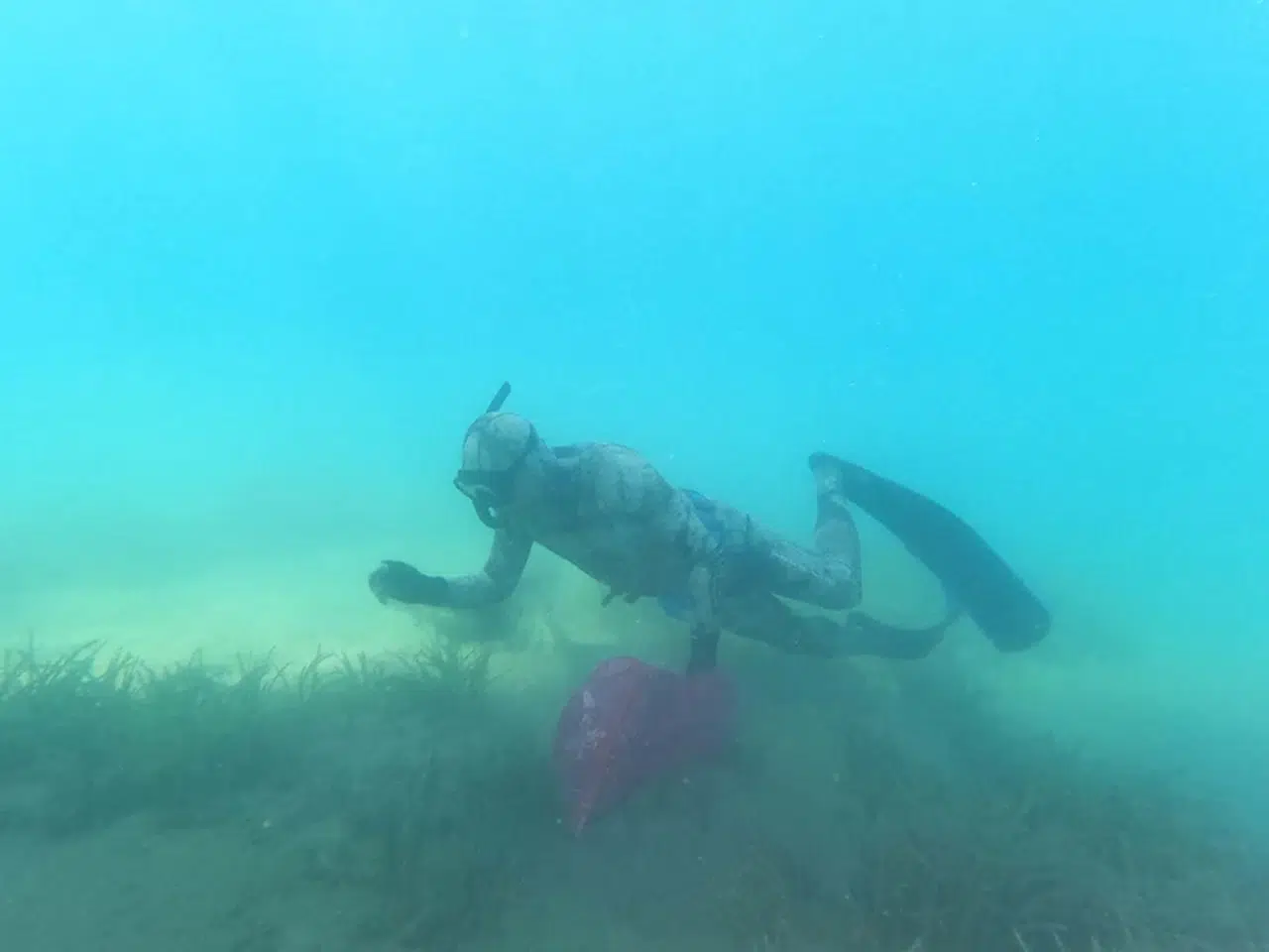 Bodrum'daki deniz dibi temizliğinde 800 kilogram atık çıkarıldı