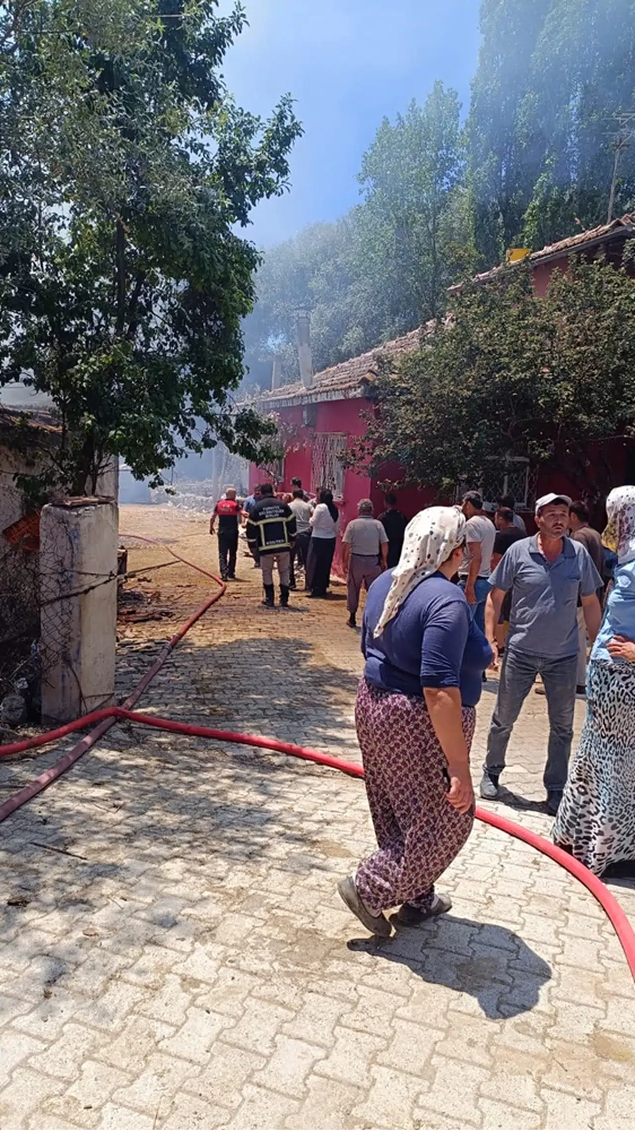 Tokat'ta çıkan yangında 2 büyükbaş hayvan telef oldu 