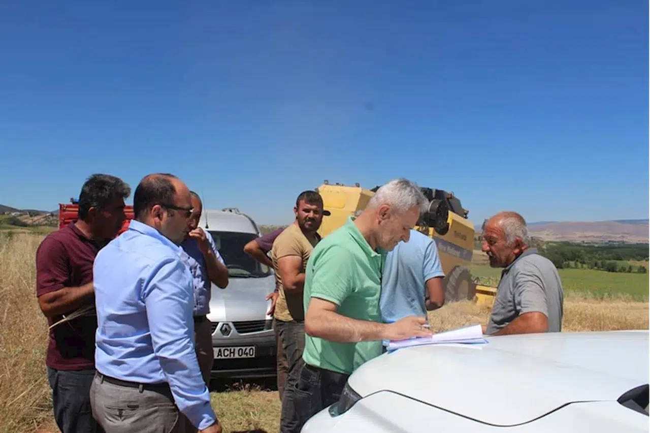 Tokat'ta hubat hasadı sürüyor