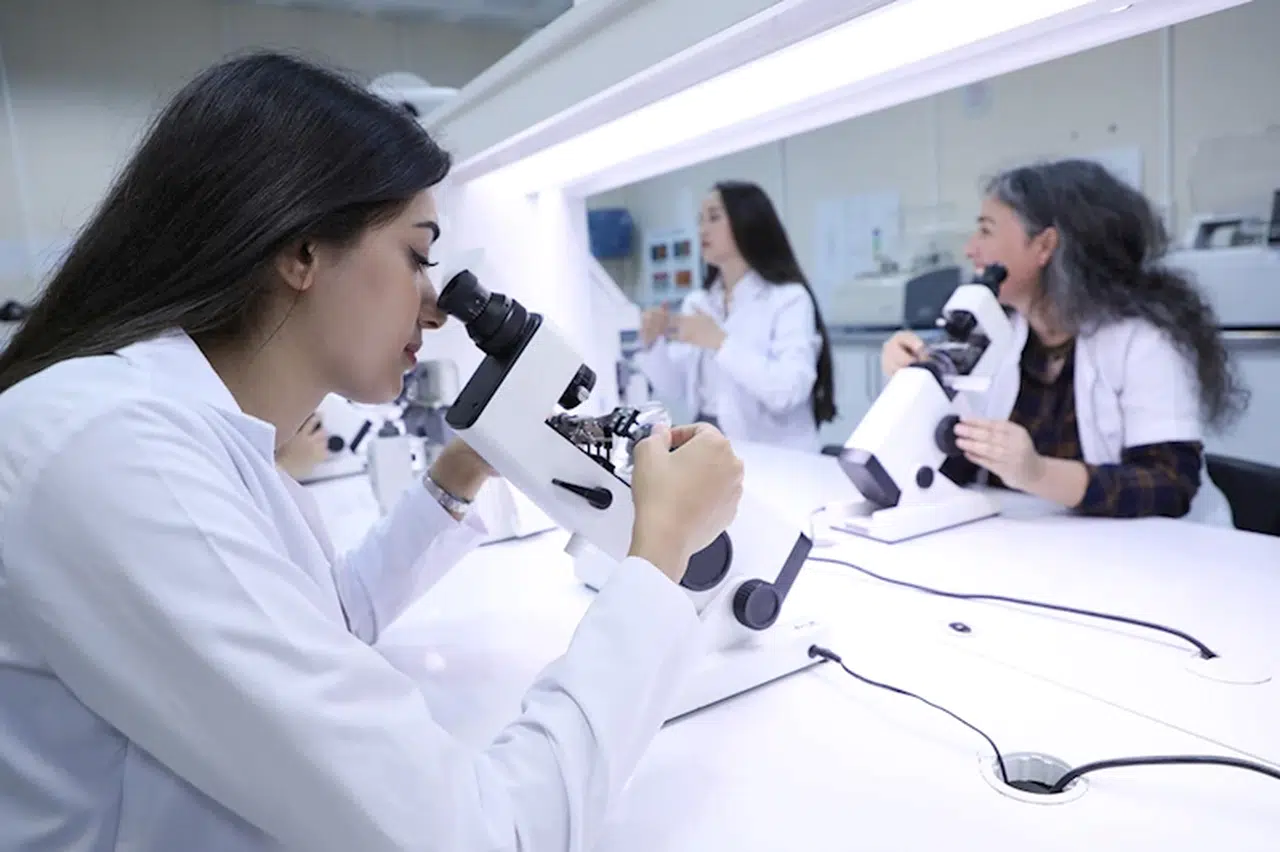 Bartın'dan kısa kısa