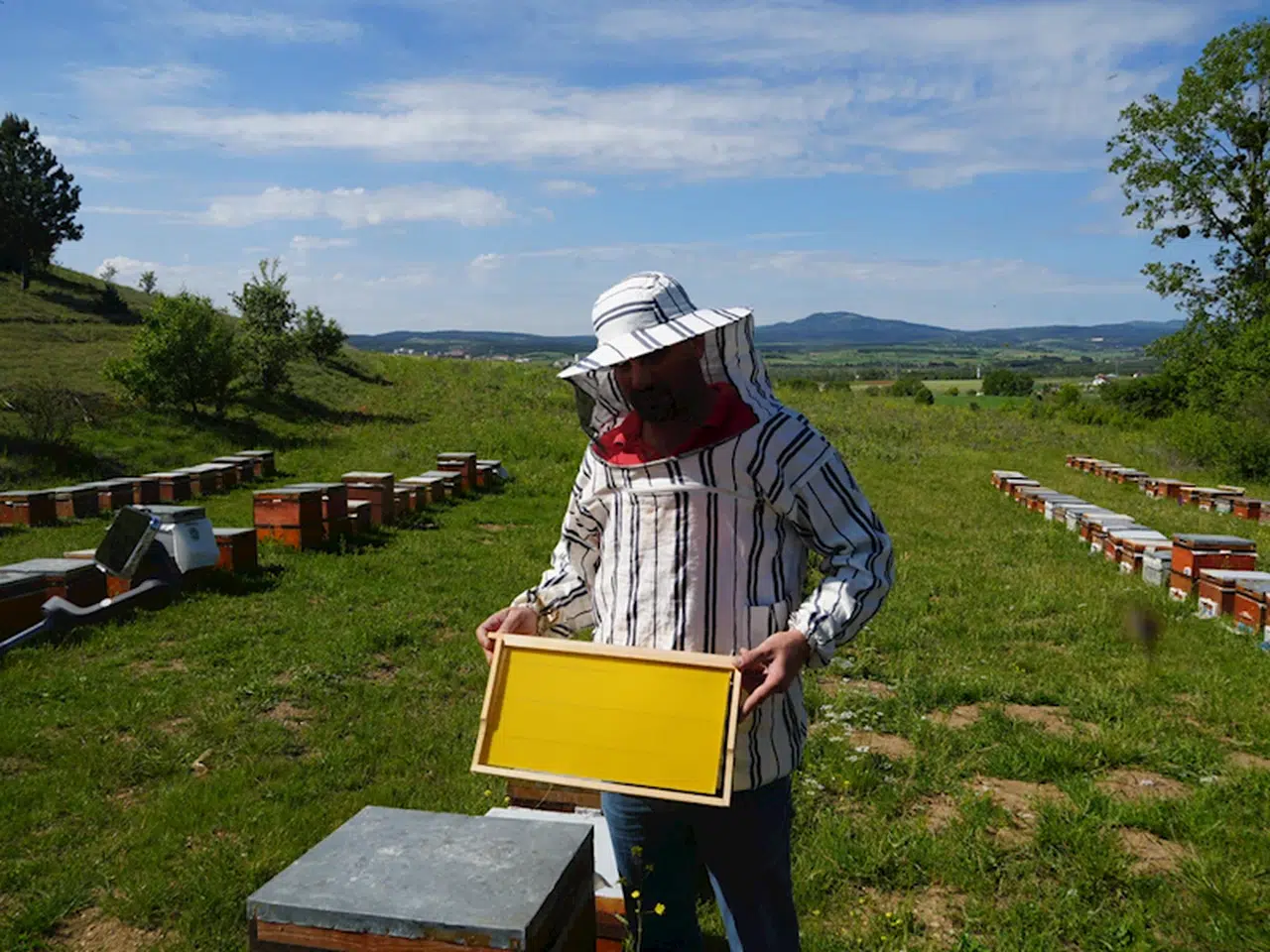 Kastamonu'da arıcılar atıl bal mumlarını değerlendirerek maliyeti düşürüyor