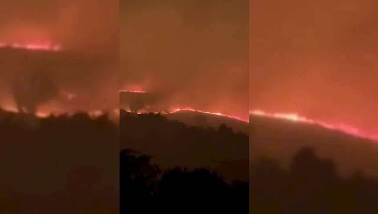 Malatya'da örtü yangınında 400 dönüm alan zarar gördü