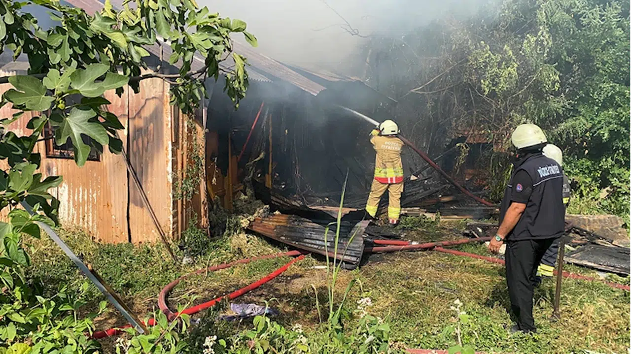 Düzce'de barakada çıkan yangında 17 güvercin öldü