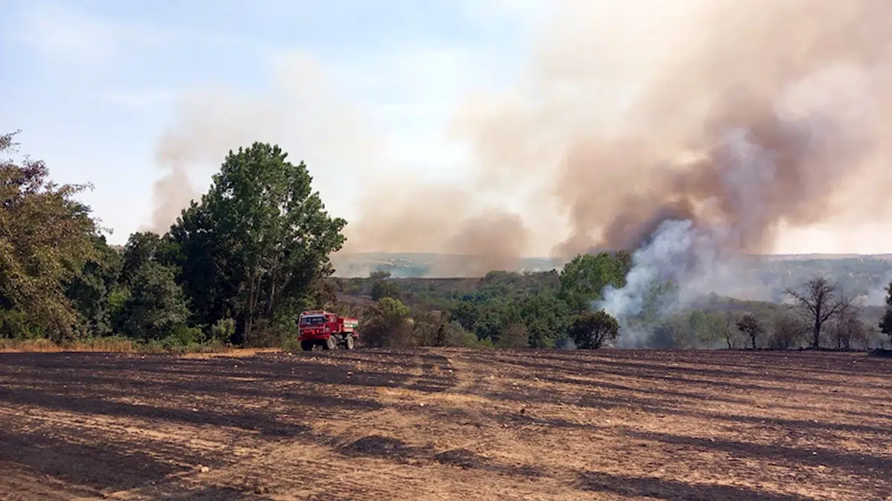 Edirne'de 215 dekar tarım arazisi ve orman zarar gördü