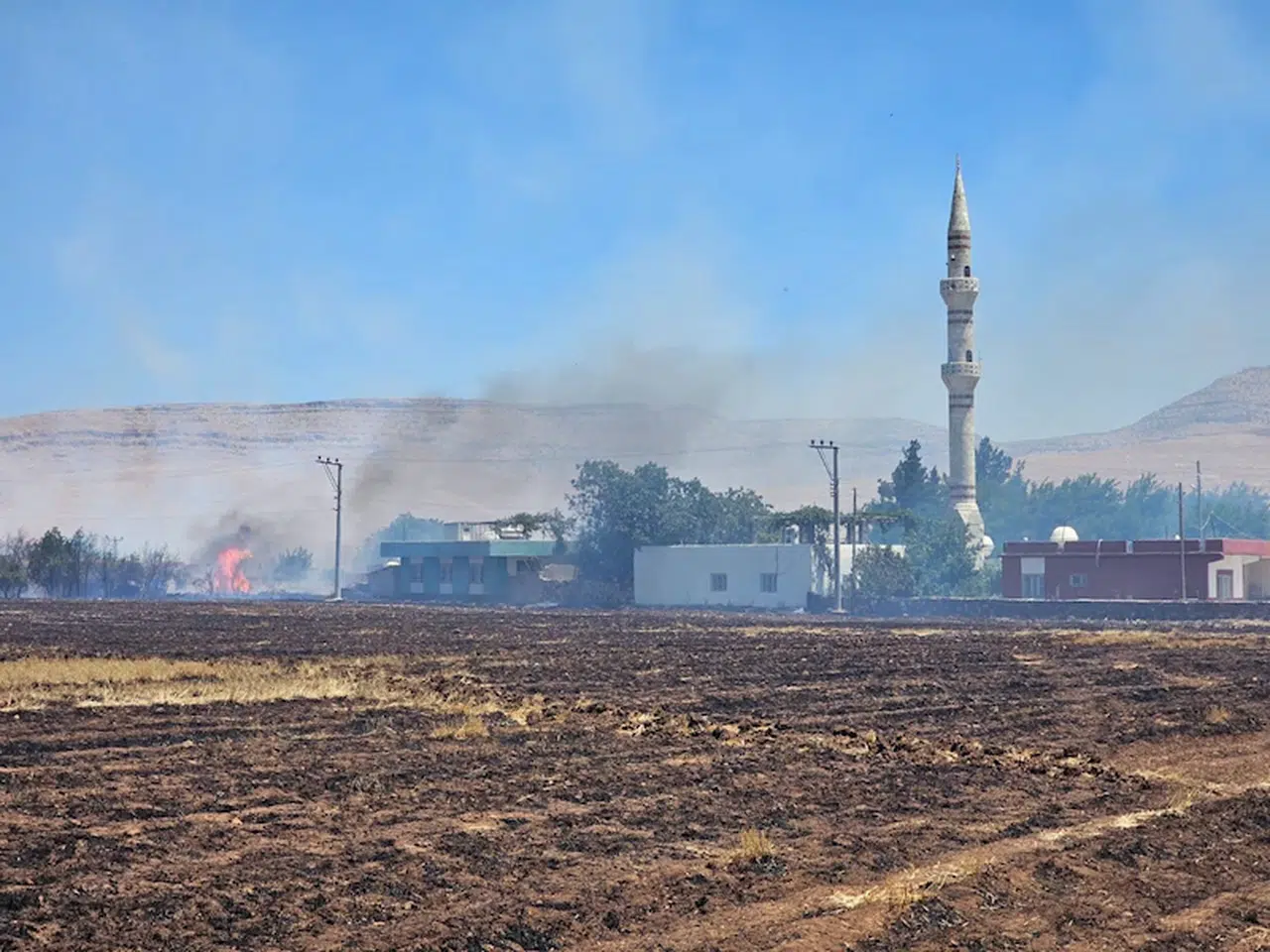 Mardin’in 5 ilçesinde anız ve örtü yangınları